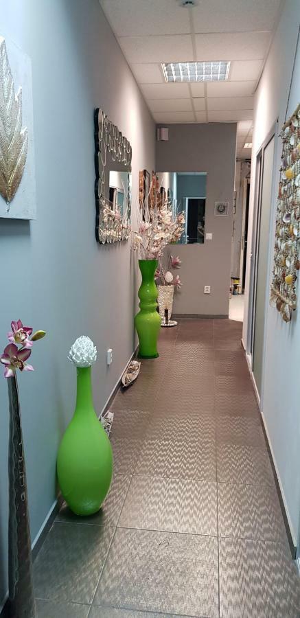 Charming Design Apartment In The Heart Of Leiden Kültér fotó